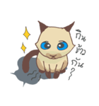 Tone Meaw Thai（個別スタンプ：22）