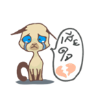 Tone Meaw Thai（個別スタンプ：30）