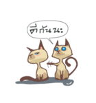 Tone Meaw Thai（個別スタンプ：33）