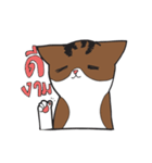 Kafae the masked cat（個別スタンプ：9）