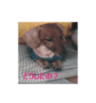ラッキーの1日（個別スタンプ：2）