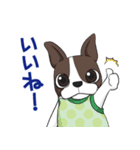 ボストンテリア Jill ＆ Mill（個別スタンプ：3）