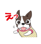 ボストンテリア Jill ＆ Mill（個別スタンプ：5）