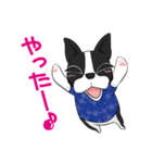 ボストンテリア Jill ＆ Mill（個別スタンプ：6）