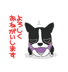 ボストンテリア Jill ＆ Mill（個別スタンプ：8）