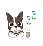 ボストンテリア Jill ＆ Mill（個別スタンプ：9）