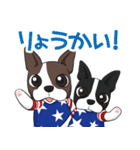 ボストンテリア Jill ＆ Mill（個別スタンプ：14）