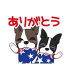 ボストンテリア Jill ＆ Mill（個別スタンプ：15）