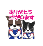 ボストンテリア Jill ＆ Mill（個別スタンプ：16）