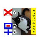 猫が教える国際信号旗 実写版1.1（個別スタンプ：12）