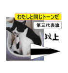 猫が教える国際信号旗 実写版1.1（個別スタンプ：22）