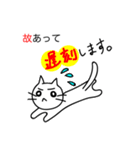 こねたん〜ゆるい日常〜（個別スタンプ：11）