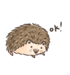 Calico The Hedgehog（個別スタンプ：2）