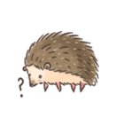 Calico The Hedgehog（個別スタンプ：8）