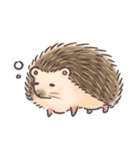 Calico The Hedgehog（個別スタンプ：12）