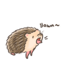 Calico The Hedgehog（個別スタンプ：14）