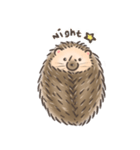 Calico The Hedgehog（個別スタンプ：15）