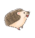 Calico The Hedgehog（個別スタンプ：23）