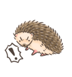 Calico The Hedgehog（個別スタンプ：26）