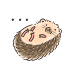 Calico The Hedgehog（個別スタンプ：29）