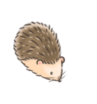 Calico The Hedgehog（個別スタンプ：39）