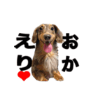 すり～だっくす ときどき ちわぷー（個別スタンプ：5）