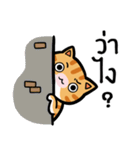 Tora is Happy（個別スタンプ：13）