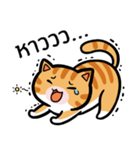Tora is Happy（個別スタンプ：23）