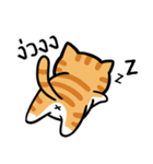 Tora is Happy（個別スタンプ：24）