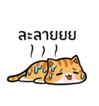 Tora is Happy（個別スタンプ：25）