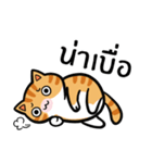 Tora is Happy（個別スタンプ：28）
