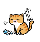 Tora is Happy（個別スタンプ：34）
