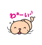 しりネコ（個別スタンプ：5）