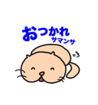 しりネコ（個別スタンプ：6）
