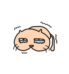 しりネコ（個別スタンプ：14）