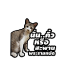 Gangster Manote（個別スタンプ：1）