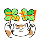 MMM Cats-2（個別スタンプ：8）