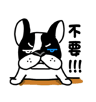 POKE (Boston Terrier )（個別スタンプ：2）