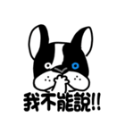 POKE (Boston Terrier )（個別スタンプ：5）