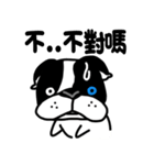 POKE (Boston Terrier )（個別スタンプ：6）