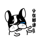 POKE (Boston Terrier )（個別スタンプ：7）