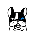 POKE (Boston Terrier )（個別スタンプ：8）