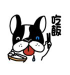 POKE (Boston Terrier )（個別スタンプ：9）