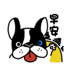 POKE (Boston Terrier )（個別スタンプ：11）