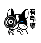 POKE (Boston Terrier )（個別スタンプ：12）