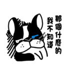 POKE (Boston Terrier )（個別スタンプ：14）