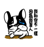 POKE (Boston Terrier )（個別スタンプ：16）