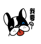 POKE (Boston Terrier )（個別スタンプ：17）