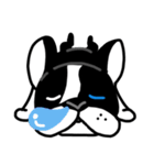POKE (Boston Terrier )（個別スタンプ：18）