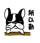 POKE (Boston Terrier )（個別スタンプ：19）